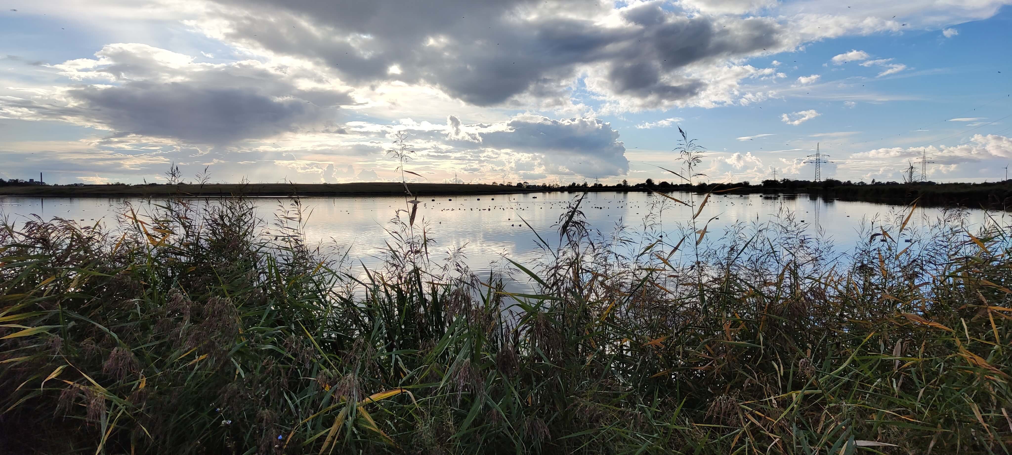 Wangermeer und Umgebung
