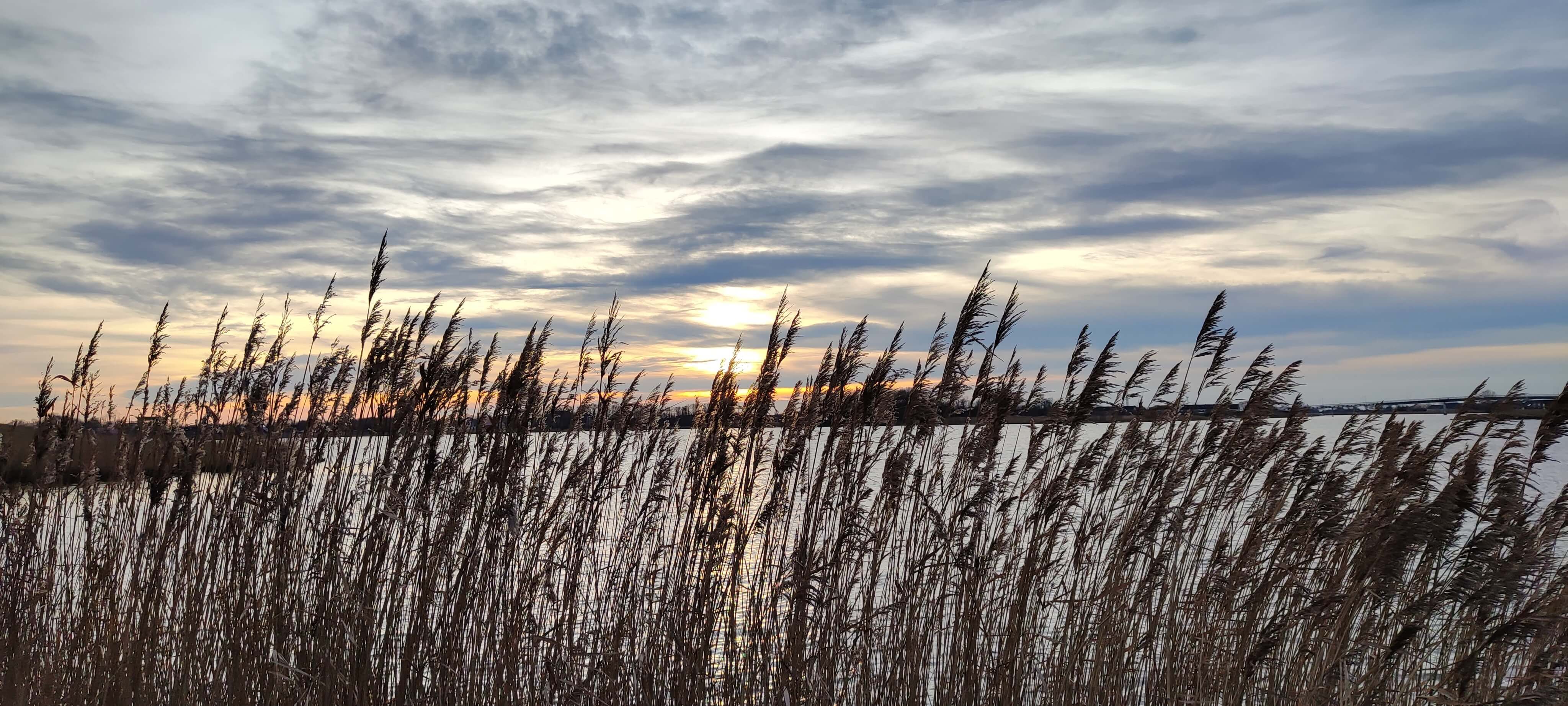 Wangermeer und Umgebung